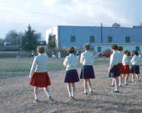 football5.jpg (132197 bytes)