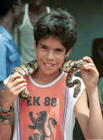 v-ammers4.jpg (67724 bytes)