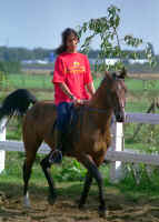 v-ammers5.jpg (127161 bytes)