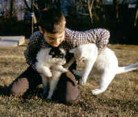 wrs10.jpg (136054 bytes)