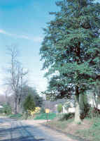 wrs24.jpg (112789 bytes)